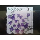 Молдова 2009 Колокольчики Михель-2,2 евро гаш