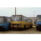 Эмблема автобуса Ikarus 280 - редкая