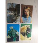 Календарики одним лотом.