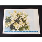 И. Дергилев