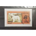 Нагалэнд. Фауна. Собаки. Блок-беззубцовка (664)