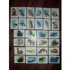 Спичечные этикетки. Сувенирный набор. Московский зоопарк.1983 год