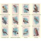 Спичечные этикетки. Сувенирный набор. Московский зоопарк.1983 год