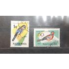 Венгрия. 1961 год. Фауна. Птицы (396)