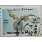 Марокко 1998г.