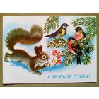 Достян 1991 С Новым годом! чистая белка снегири рябина