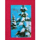 С Новым Годом! Раскина 1971 г.