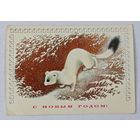 С Новым Годом ! открытка СССР Исаков