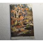 1906 год Курляндия Открытка