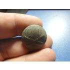 Пуговица РИА 11 на пушках