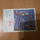 Открытка с Новым годом 1976г