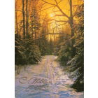 Чистая открытка 1985г. "С Новым годом! Зимний лес" фото Г. Костенко