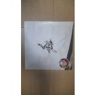 JANE "AGE OF MADNESS"  1978 LP  GERMANY BRAIN 34214  -EX/EX--