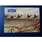 Календарик 2007 г.  Мы проведем вас по шелковому пути.