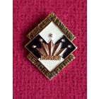 Шахматы кубок дворца культуры Белсовпрофа