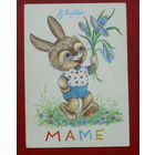 8 Марта! Чистая. 1984 года. Юрасова. 864.