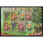 2013_Грибы съедобные.