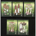 Грибы. Беларусь. 1998. Полная серия 5 марок. Чистые