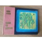 В.Вольскi"Месяц за месяцам"\017