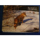 Беларусь 2009 ПК зак 1295 Волк Беловежская пуща