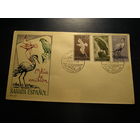 Испанская Сахара 1959 КПД, Птицы