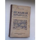 Нежывая прырода: падручнік для школы. 1951 г.