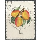 Венгрия. Фрукты. Абрикосы. 1964г. Mi#2046.