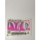 Малайзия, 1965 год Султана Селангора, Султана