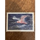 СССР 1972. Розовая чайка. Марка из серии