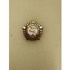 ГТО. Отличник. золотой.