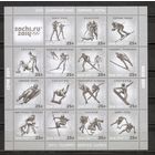 ФФ3 Россия 2013 Ол. игры