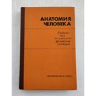Анатомия человека (учебник).