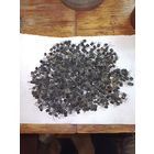 Транзисторы. Полубоченки. Без МЦ. 3 дня.