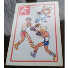 Бокс Олимпийский медведь