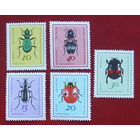 ГДР. Жуки. ( 5 марок ) 1968 года. 3-2.