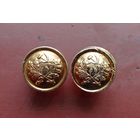 Пуговицы Лесника СССР