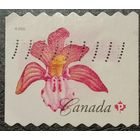 Канада 2006. Флора. Цветы