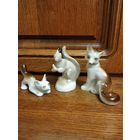 Белка с листами.