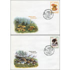 Конверты первого дня Беларусь "Грибы съедобные" 2008 год