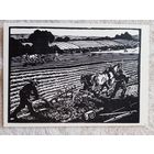 1958. Соколов. На пашне