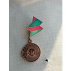 Ветеран энергетики РБ