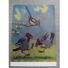 1957. Литвиненко. "Барыня, барыня, сударыня-барыня..."