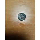 Монета полушка петра