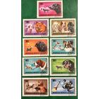 Монголия 1978. Породы собак. Полная серия