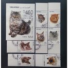 Фауна \95фа\ЙЕМЕН 1990 ФАУНА  КОШКИ
