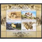 Киргизия 2013.Фауна  Горный баран  блок (418)