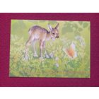 С Днём Рождения! Исаков 1986 г. Чистая.