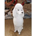 Пудель ЛФЗ СССР . Собака