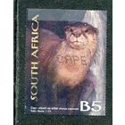 ЮАР. Регион Кару. Фауна. Капская безкоготная выдра