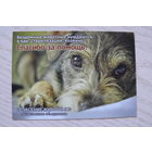 Календарик, 2016, Общественное объединение "Спасение животных" (грустный пёс :(